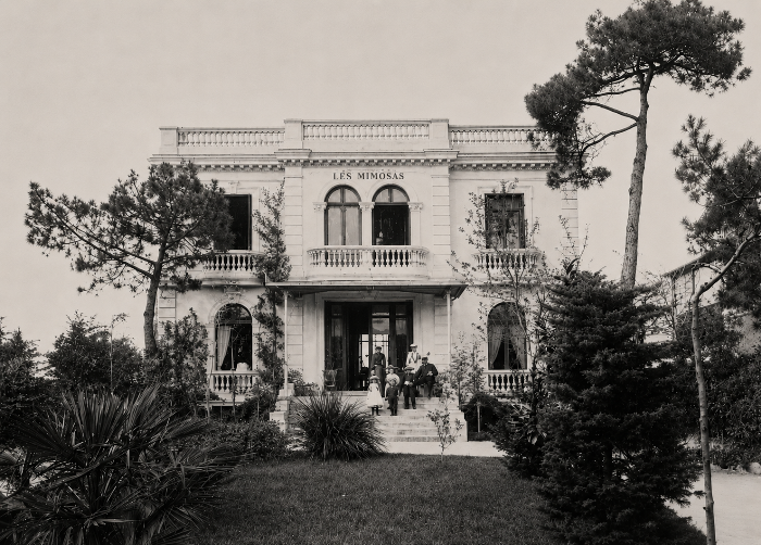 Les Mimosas 1890
