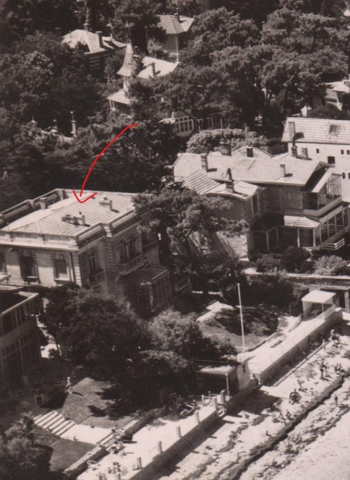 Les Mimosas 1950