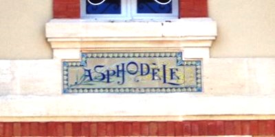Asphodle