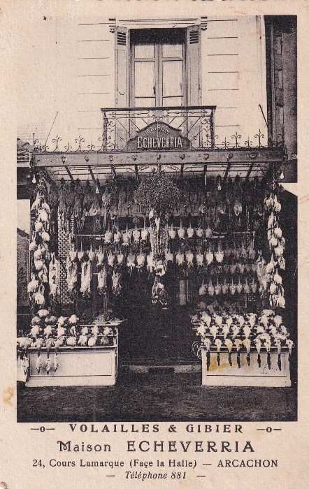 Echeverria Boucher 24