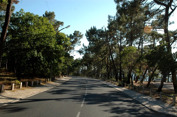 Avenue du Parc 2011