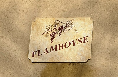 Flamboyse cartouche 2025