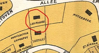 Les Algues Ducos 1928