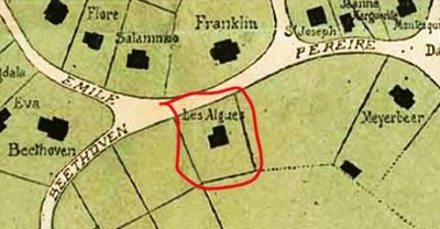 Les Algues VH Ormi�res 1896