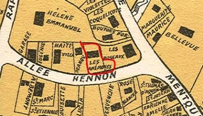 Les An�mones Ducos 1928