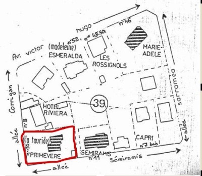 Primev�re �lot 39